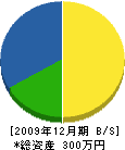 武田鉄工所 貸借対照表 2009年12月期 武田鉄工所 貸借対照表 2009年12月期