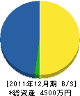 植平組 貸借対照表 2011年12月期 植平組 貸借対照表 2011年12月期