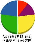 小林建設 貸借対照表 2011年8月期 小林建設 貸借対照表 2011年8月期