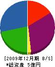 マクテック 貸借対照表 2009年12月期 マクテック 貸借対照表 2009年12月期