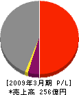 サンエイ 損益計算書 2009年3月期 サンエイ 損益計算書 2009年3月期
