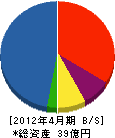ティーエスケー 貸借対照表 2012年4月期 ティーエスケー 貸借対照表 2012年4月期