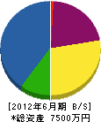 みどり園 貸借対照表 2012年6月期 みどり園 貸借対照表 2012年6月期
