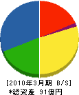 日本ビソー 貸借対照表 2010年3月期 日本ビソー 貸借対照表 2010年3月期
