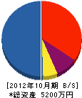 EIKEN 貸借対照表 2012年10月期 EIKEN 貸借対照表 2012年10月期