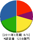 ニチアス 貸借対照表 2011年3月期 ニチアス 貸借対照表 2011年3月期