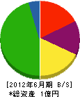 植忠 貸借対照表 2012年6月期 植忠 貸借対照表 2012年6月期