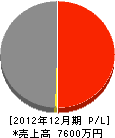 サウス工業 損益計算書 2012年12月期 サウス工業 損益計算書 2012年12月期