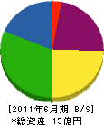 藤井組 貸借対照表 2011年6月期 藤井組 貸借対照表 2011年6月期