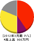 日成エンジニアリング 損益計算書 2012年3月期 日成エンジニアリング 損益計算書 2012年3月期