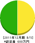 中戸川園 貸借対照表 2011年12月期 中戸川園 貸借対照表 2011年12月期