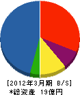 丸栄建設 貸借対照表 2012年3月期 丸栄建設 貸借対照表 2012年3月期