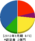 太陽社 貸借対照表 2012年9月期 太陽社 貸借対照表 2012年9月期