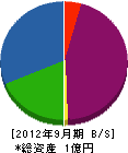 立花土木興業 貸借対照表 2012年9月期 立花土木興業 貸借対照表 2012年9月期