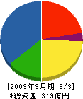 ガイアートT・K 貸借対照表 2009年3月期 ガイアートT・K 貸借対照表 2009年3月期