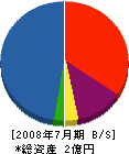 南洋開発 貸借対照表 2008年7月期 南洋開発 貸借対照表 2008年7月期