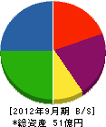 丸泰土木 貸借対照表 2012年9月期 丸泰土木 貸借対照表 2012年9月期