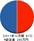 金幸商店 貸借対照表 2011年12月期 金幸商店 貸借対照表 2011年12月期