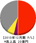 齋藤建設 損益計算書 2010年12月期 齋藤建設 損益計算書 2010年12月期