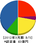 アペックス和光 貸借対照表 2012年3月期 アペックス和光 貸借対照表 2012年3月期