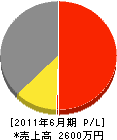 槌屋実業 損益計算書 2011年6月期 槌屋実業 損益計算書 2011年6月期
