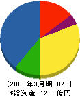 新日鉄ソリューションズ 貸借対照表 2009年3月期 新日鉄ソリューションズ 貸借対照表 2009年3月期
