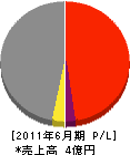 玉新建設 損益計算書 2011年6月期 玉新建設 損益計算書 2011年6月期
