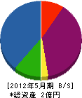 伸栄設備 貸借対照表 2012年5月期 伸栄設備 貸借対照表 2012年5月期