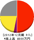 佐野電工 損益計算書 2012年12月期 佐野電工 損益計算書 2012年12月期