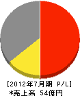 ウチダテクノ 損益計算書 2012年7月期 ウチダテクノ 損益計算書 2012年7月期
