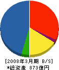 大鉄工業 貸借対照表 2008年3月期 大鉄工業 貸借対照表 2008年3月期