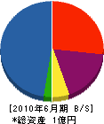 ワタナベ建材土木 貸借対照表 2010年6月期 ワタナベ建材土木 貸借対照表 2010年6月期