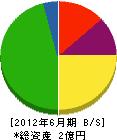 大谷建装 貸借対照表 2012年6月期 大谷建装 貸借対照表 2012年6月期
