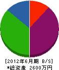 槌屋実業 貸借対照表 2012年6月期 槌屋実業 貸借対照表 2012年6月期