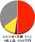 ウェルテック 損益計算書 2013年3月期 ウェルテック 損益計算書 2013年3月期