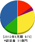 新和電工 貸借対照表 2012年6月期 新和電工 貸借対照表 2012年6月期