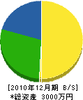 山田造園 貸借対照表 2010年12月期 山田造園 貸借対照表 2010年12月期