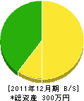 大野賢治 貸借対照表 2011年12月期 大野賢治 貸借対照表 2011年12月期