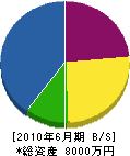 みどり園 貸借対照表 2010年6月期 みどり園 貸借対照表 2010年6月期