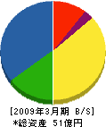 清田軌道工業 貸借対照表 2009年3月期 清田軌道工業 貸借対照表 2009年3月期