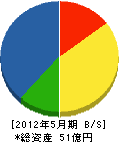 三球電機 貸借対照表 2012年5月期 三球電機 貸借対照表 2012年5月期