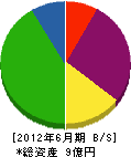 大創建設 貸借対照表 2012年6月期 大創建設 貸借対照表 2012年6月期
