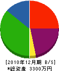 宮城ガーデン 貸借対照表 2010年12月期 宮城ガーデン 貸借対照表 2010年12月期
