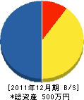 長谷川文彦 貸借対照表 2011年12月期 長谷川文彦 貸借対照表 2011年12月期