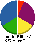 G.C.SINKO 貸借対照表 2008年6月期 G.C.SINKO 貸借対照表 2008年6月期