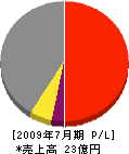 太陽 損益計算書 2009年7月期 太陽 損益計算書 2009年7月期