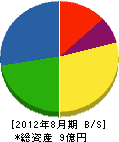 芝田土質 貸借対照表 2012年8月期 芝田土質 貸借対照表 2012年8月期