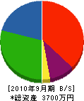 スター塗装工業 貸借対照表 2010年9月期 スター塗装工業 貸借対照表 2010年9月期