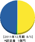 林部功 貸借対照表 2011年12月期 林部功 貸借対照表 2011年12月期