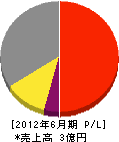 朝日電気工業 損益計算書 2012年6月期 朝日電気工業 損益計算書 2012年6月期